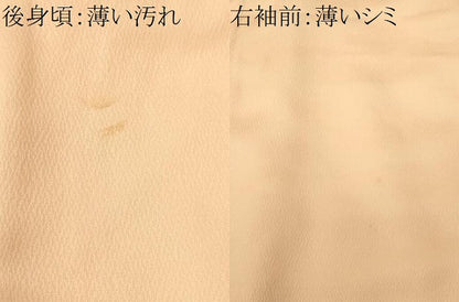 平和屋着物■訪問着　駒刺繍　扇面地紙草花文　暈し染め　正絹　逸品　CABK3909ev