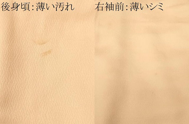 平和屋着物■訪問着　駒刺繍　扇面地紙草花文　暈し染め　正絹　逸品　CABK3909ev