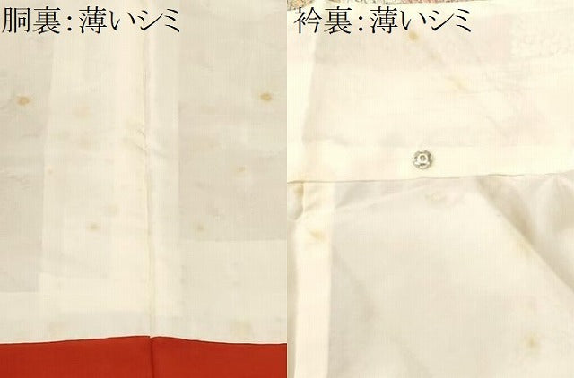 平和屋着物■上質な小紋　菊尽くし文　正絹　逸品　CABK3929ev