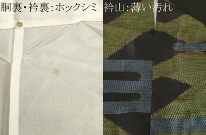 平和屋着物■本場大島紬　100亀甲　エ霞蒔絵文　正絹　逸品　CABK3951ev