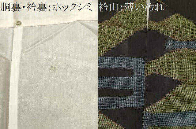 平和屋着物■本場大島紬　100亀甲　エ霞蒔絵文　正絹　逸品　CABK3951ev