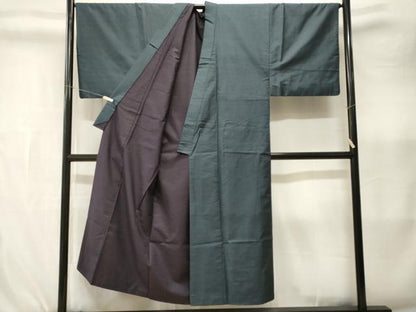 平和屋着物■本場大島紬　100亀甲　総詰め　正絹　逸品　CABK3979ev