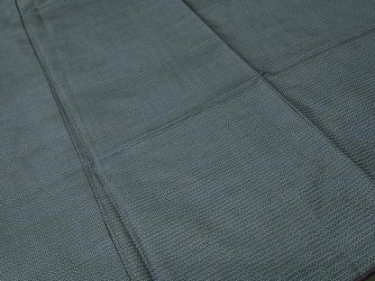 平和屋着物■本場大島紬　100亀甲　総詰め　正絹　逸品　CABK3979ev