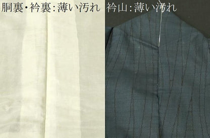 平和屋着物■本場大島紬　7マルキ　杢目文様　正絹　逸品　CABK3997ev