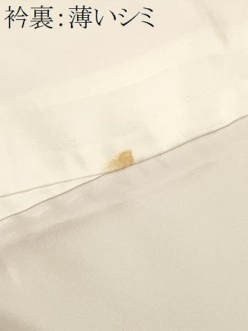 平和屋着物■訪問着　几帳草花文　シルエット　暈し染め　正絹　逸品　CABK4089ev
