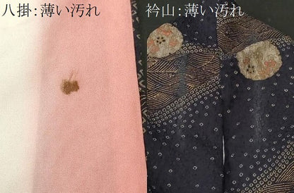 平和屋着物■上質な小紋　絞り　ふくれ織　立波雪輪草花文　黒地　金彩　正絹　逸品　CABK4106ev