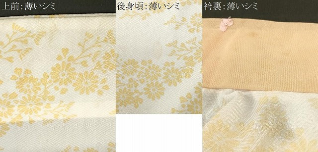 平和屋着物■長襦袢　無双仕立て　枝花文　半衿刺繍　洗える着物　CABK4119ev