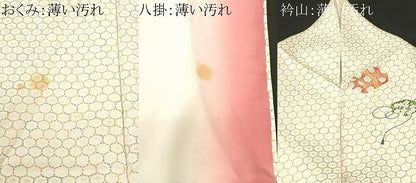 平和屋着物■上質な小紋　文箱亀甲花文　正絹　逸品　CABK4138ev