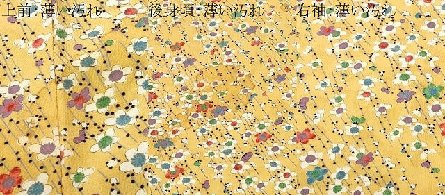 平和屋着物■上質な小紋　枝花文　正絹　逸品　CABK4164ev