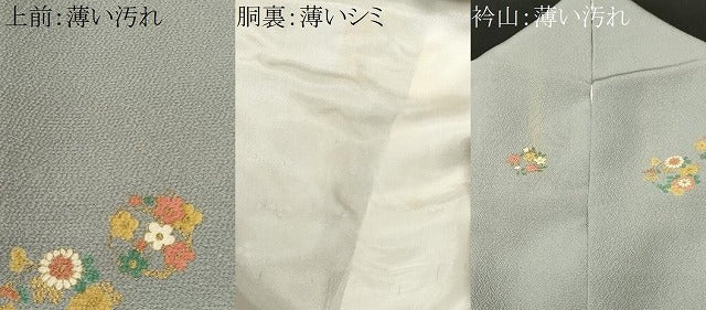 平和屋着物■上質な小紋　草花文　金彩　正絹　逸品　CABK4177ev