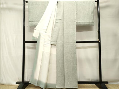 平和屋着物■上質な小紋　霞檜垣文　正絹　逸品　CABK4179ev