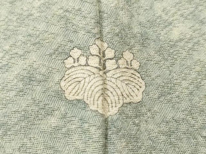平和屋着物■上質な小紋　霞檜垣文　正絹　逸品　CABK4179ev