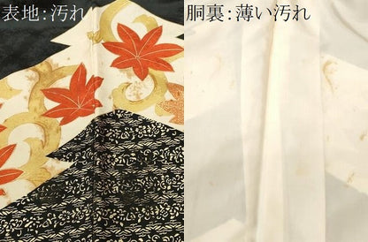 平和屋着物■豪華振袖　駒刺繍　花唐草文　金彩　正絹　逸品　CABK4198ev