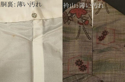 平和屋着物■本場大島紬　7マルキ　亀甲草花文　正絹　逸品　CABK4201ev