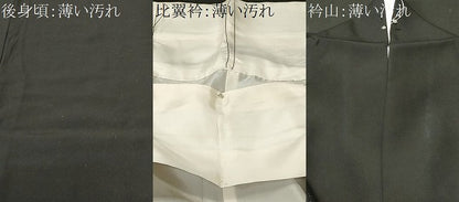 平和屋着物■豪華黒留袖　地紙飛鶴枝梅文　金彩　正絹　逸品　CABK4219ev