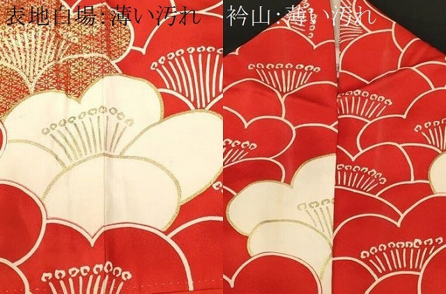 平和屋着物■豪華振袖　駒刺繍　梅尽くし　金彩　正絹　逸品　CABK4224ev