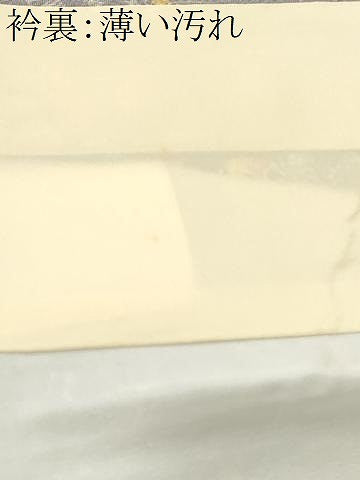 平和屋着物■訪問着　御所解文　暈し染め　鬼しぼ縮緬　正絹　逸品　CABK4237ev