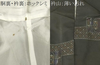 平和屋着物■本場大島紬　エジプト壁画文様　正絹　逸品　CABK4238ev