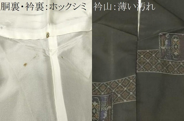 平和屋着物■本場大島紬　エジプト壁画文様　正絹　逸品　CABK4238ev