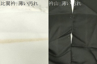 平和屋着物■豪華黒留袖　作家物　籬草花文　金彩　正絹　逸品　CABK4239ev