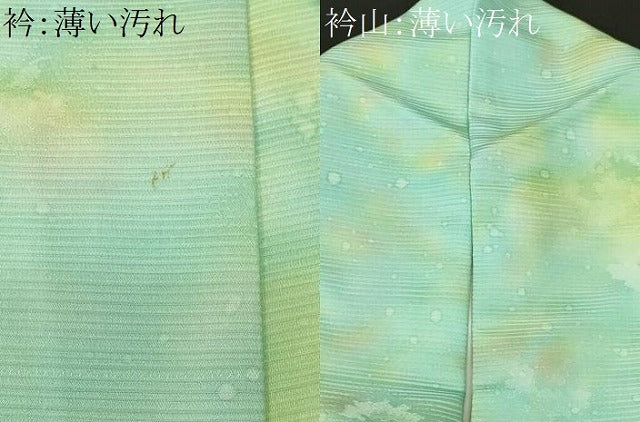 平和屋着物■小紋　霞文　吉祥地紋　暈し染め　小田急百貨店扱い　洗える着物　CABK4246ev