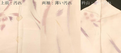 平和屋着物■上質な小紋　薔薇　暈し染め　銀糸　正絹　逸品　CABK4277ev