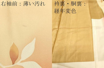 平和屋着物■上質な小紋　地紋起こし　枝花文　暈し染め　正絹　逸品　CABK4310ev