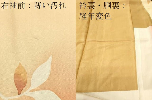 平和屋着物■上質な小紋　地紋起こし　枝花文　暈し染め　正絹　逸品　CABK4310ev