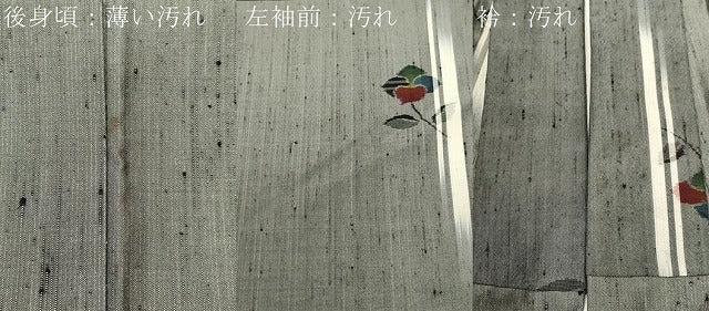 平和屋着物■上質な紬　草花文　正絹　逸品　CABK4329ev