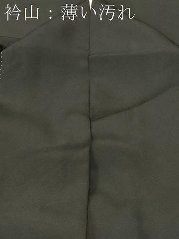平和屋着物■豪華黒留袖　飛鶴文箱枝桜文　暈し染め　金彩　正絹　逸品　CABK4343ev