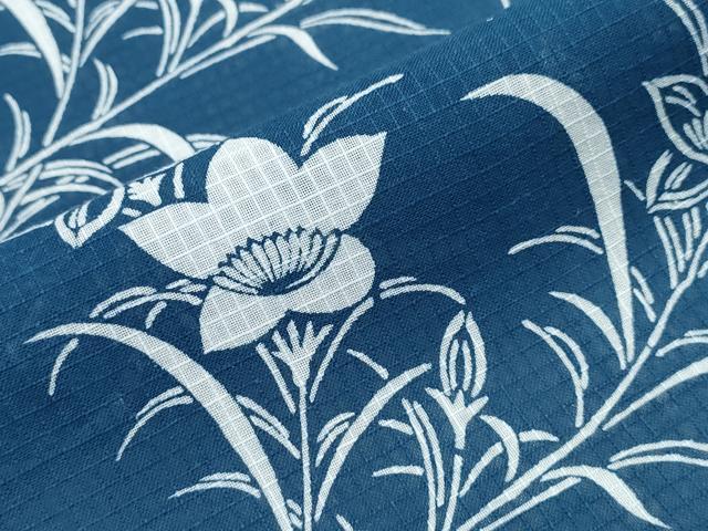 平和屋着物∴夏物　浴衣　綿紅梅　桔梗文　綿　逸品　CABK5220ng