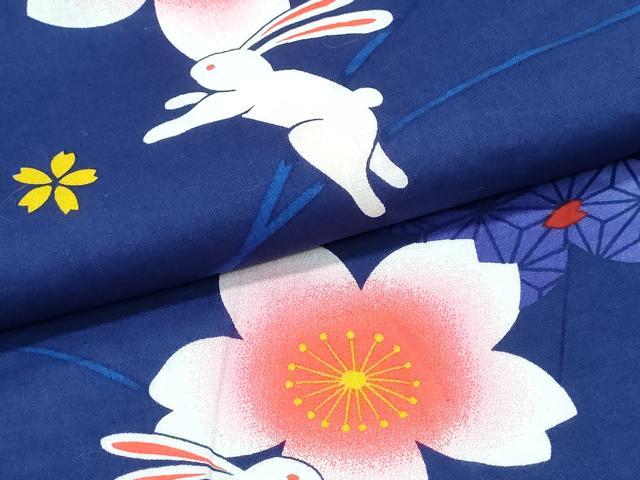 平和屋着物∴夏物　浴衣　桜兎　綿　逸品　CABK5494ng