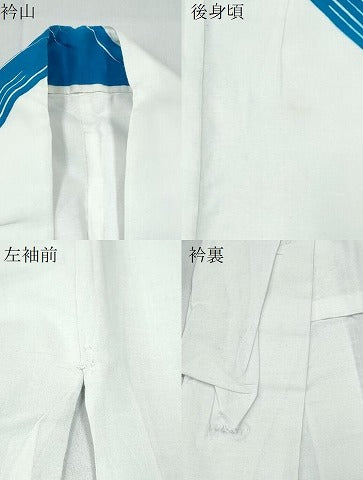 平和屋着物∴夏物　訪問着・浴衣兼用　絵羽浴衣　注染　手縫い　抽象文様　綿　逸品　CABK5520ng