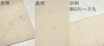 平和屋着物●九寸名古屋帯　草花文　鬼しぼ縮緬　正絹　逸品　CABK5604hy