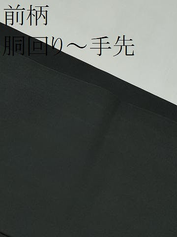 平和屋着物●塩瀬　九寸名古屋帯　魚　黒地　正絹　逸品　CABK5618hy