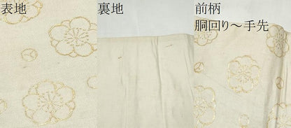 平和屋着物●アンティーク　大正ロマン　九寸名古屋帯　孔雀枝花文　金銀糸　正絹　逸品　CABK5680hy