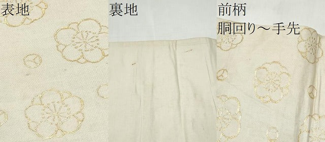 平和屋着物●アンティーク　大正ロマン　九寸名古屋帯　孔雀枝花文　金銀糸　正絹　逸品　CABK5680hy