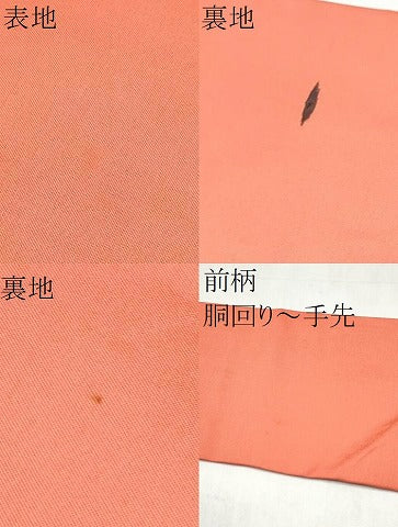 平和屋着物●西陣　服部織物謹製　九寸名古屋帯　飛鳥文　金糸　正絹　逸品　CABK5780hy