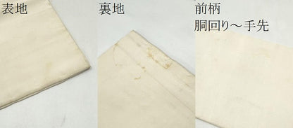 平和屋着物●アンティーク　大正ロマン　九寸名古屋帯　手描き　扇面草花文　金彩　正絹　逸品　CABK5918hy