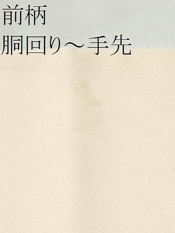 平和屋着物●塩瀬　九寸名古屋帯　手描き　枝花文　正絹　逸品　CABK5924hy
