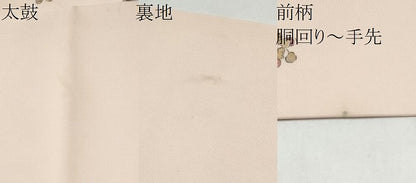 平和屋着物●塩瀬　九寸名古屋帯　手描き　枝菊文　正絹　逸品　CABK5935hy