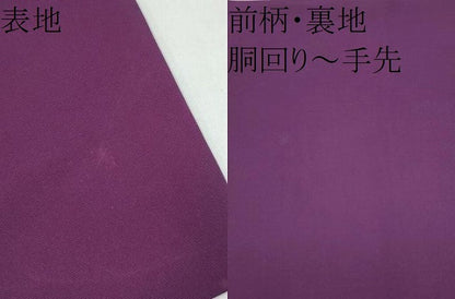平和屋着物●塩瀬　九寸名古屋帯　枝葉文　金彩　正絹　逸品　CABK5939hy