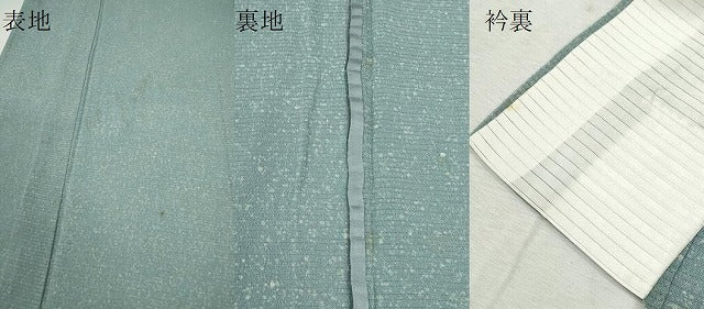 平和屋着物＊夏物　小紋　作家物　絽縮緬　霞文　正絹　逸品　CABK6744ze
