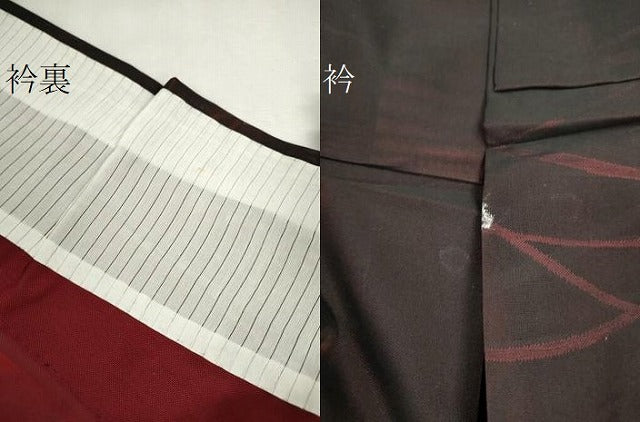 平和屋着物＊夏物　小紋　紗　芝草文　黒地　正絹　逸品　CABK6745ze