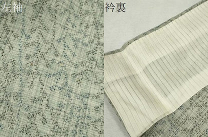 平和屋着物＊夏物　紗紬　草木文　正絹　逸品　CABK6746ze