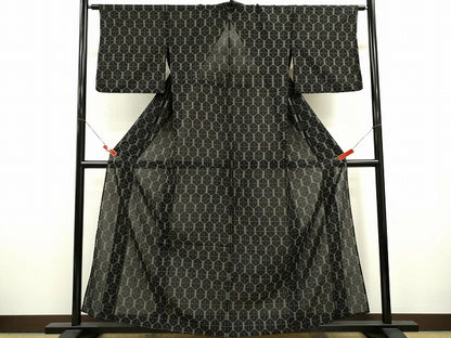 平和屋着物＊夏物　紗紬　亀甲文様　黒地　正絹　逸品　CABK6747ze