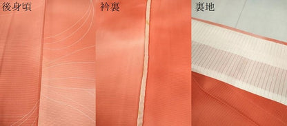 平和屋着物＊夏物　小紋　絽　草花文　暈し染め　正絹　逸品　未使用　CABK6754ze