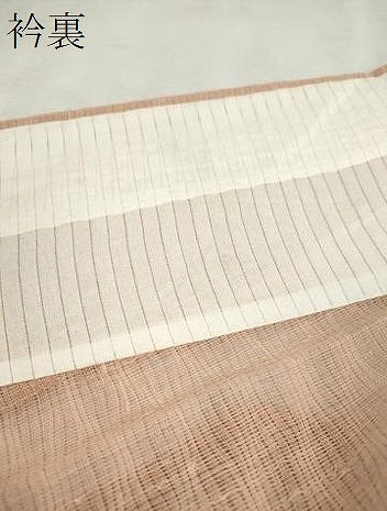 平和屋着物＊夏物　絽紬　よろけ縞　赤香色　正絹　逸品　CABK6765ze