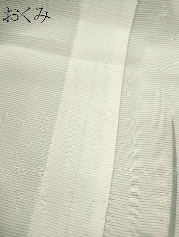 平和屋着物＊夏物　訪問着　絽　手描き　笹竹文　正絹　逸品　未使用　CABK6766ze