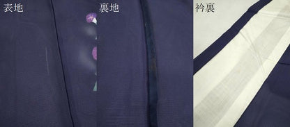平和屋着物＊夏物　訪問着　絽　朝顔　暈し染め　金彩　正絹　逸品　未使用　CABK6770ze